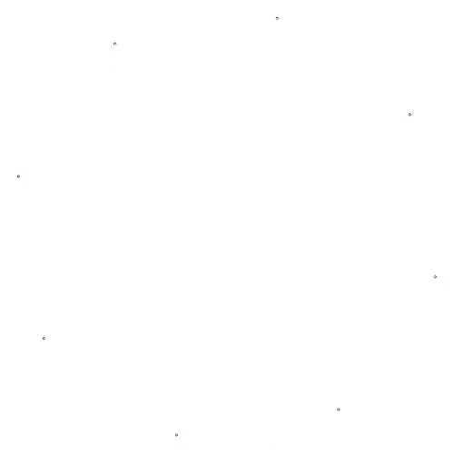 Native Voices logo